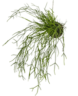Planta artificial colgante Hierba sobre bola 48 cm
