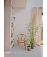 Planta de helecho artificial 85 cm