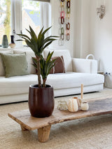 Un salón moderno con un sofá blanco, cojines verdes y marrones, una mesa de centro de madera decorada con velas y la planta de Agave Artificial de 76 cm, y una decoración de pared de malla de cadenas. La luz natural entra por las ventanas detrás del sofá.