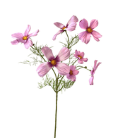 Ramo de flor artificial Cosmos 74 cm rosa
