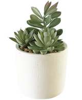 Suculenta artificial Planta del Dinero 20 cm en maceta decorativa blanca