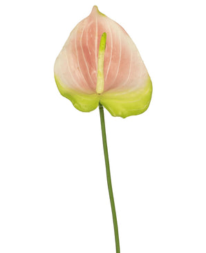 Una única flor artificial de Anthurium de 68 cm en color rosa, con una delicada flor rosa y verde sobre un largo tallo verde, destaca maravillosamente sobre un fondo blanco. Esta elegante flor artificial es ideal para cualquiera que busque flores artificiales rosas o flores de seda de alta calidad para darle a su interior una dimensión adicional.