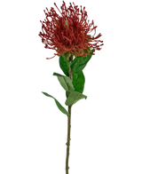 La Flor Artificial Protea 73 cm roja tiene una única protea en forma de alfiletero de color rojo con pétalos puntiagudos y hojas verdes sobre un tallo largo y delgado, sobre un fondo blanco.