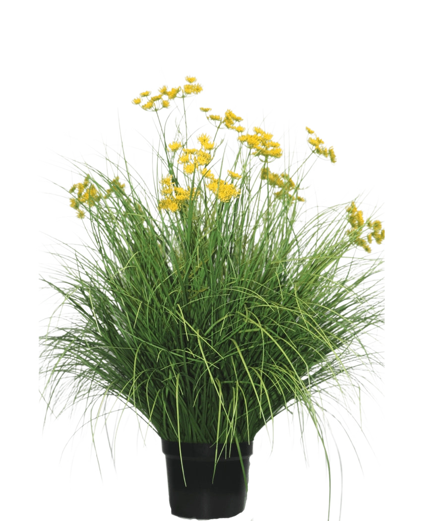 La Planta de Césped Artificial Asteraceae 100 cm retardante de fuego tiene hojas largas y estrechas y racimos de flores de color amarillo brillante en tallos altos. Esta planta que no requiere mantenimiento luce hermosa en cualquier interior sobre un fondo blanco.