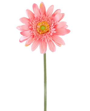 Una flor artificial Gerbera de 55 cm rosa tiene una única gerbera rosa con un corazón de color amarillo verdoso sobre un largo tallo verde, sobre un fondo blanco liso.