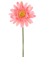 Una flor artificial Gerbera de 55 cm rosa tiene una única gerbera rosa con un corazón de color amarillo verdoso sobre un largo tallo verde, sobre un fondo blanco liso.