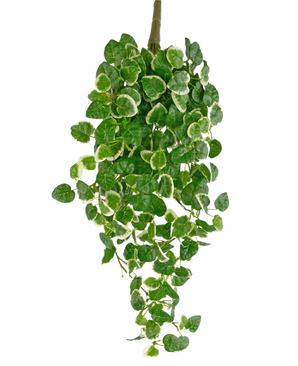 Planta colgante artificial Pumila 50 cm