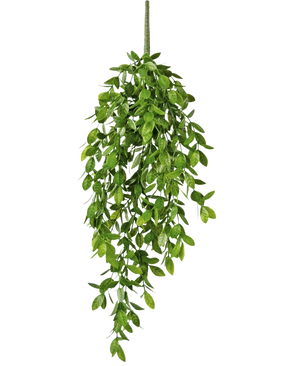 La Planta colgante artificial Gardenia 61 cm es una planta colgante artificial con hojas verdes y exuberantes y un único tallo visible, sobre un fondo blanco liso.