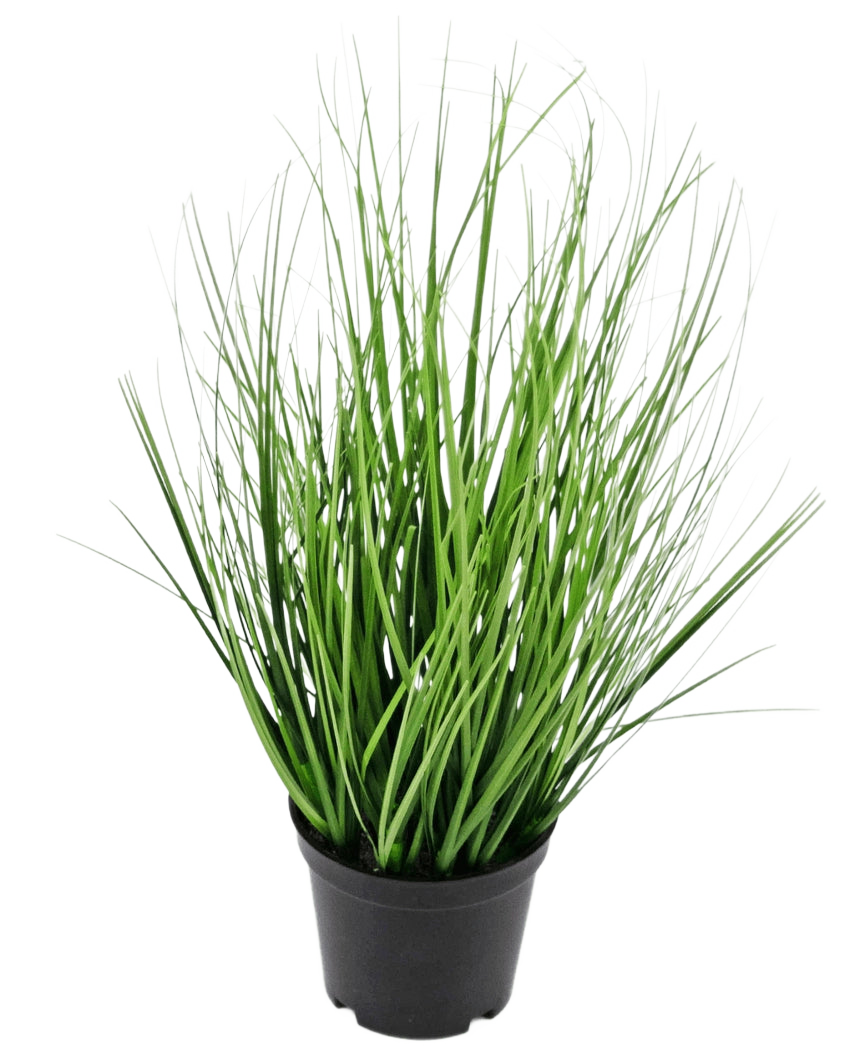 La planta de césped artificial Cebolla de 33 cm (retardante de fuego) tiene hojas largas, delgadas y verdes que parecen hierba en una pequeña maceta negra, sobre un fondo blanco liso.