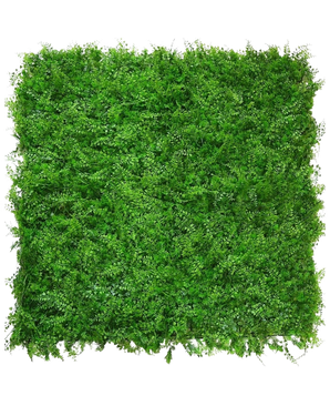 El Helecho/Conífera Artificial 50x50 cm es una estera densa y cuadrada de follaje verde vibrante con pequeños folíolos, vista desde arriba sobre un fondo blanco, que se asemeja a un seto verde natural y exuberante con una superficie uniforme y texturizada.