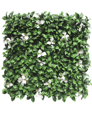 El Seto Artificial Gardenia con flor blanca 50x50 cm UV es un panel cuadrado con densas hojas verdes y flores blancas dispersas sobre un fondo blanco.