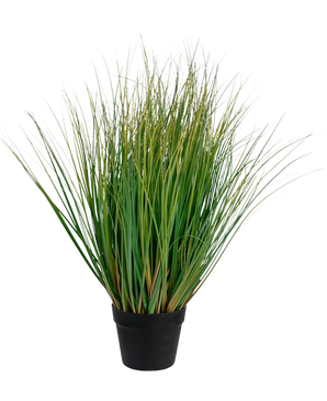 El Bonsái de Césped Artificial Cebolla con maceta es una planta de césped artificial ignífugo de 70 cm de altura con largas hojas verdes en una maceta negra, sobre un fondo blanco liso.