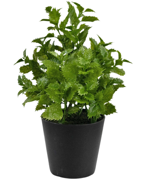 Planta Artificial Perilla 25 cm: Una planta de follaje verde vibrante con bordes dentados en una sencilla maceta negra, perfecta para añadir un toque de naturaleza a cualquier habitación.