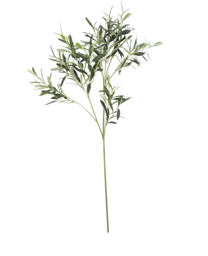 La hoja de olivo artificial 90 cm UV, con finas hojas verdes y un largo tallo, destaca sobre un fondo blanco para crear una sutil atmósfera mediterránea.