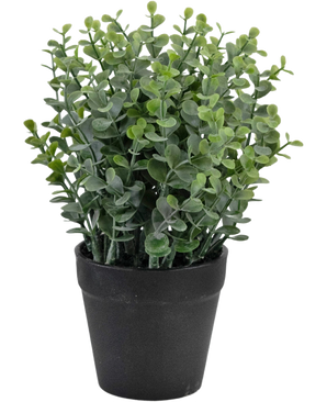 La planta artificial Pumila de 23 cm es una pequeña planta verde en maceta con hojas redondas en una sencilla maceta negra, representada sobre un fondo blanco.