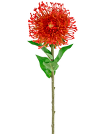 La Flor Artificial Protea 73 cm roja tiene pétalos rojos vibrantes, hojas verdes y un tallo largo y delgado, lo que la convierte en una flor artificial llamativa que añade belleza duradera a cualquier espacio.