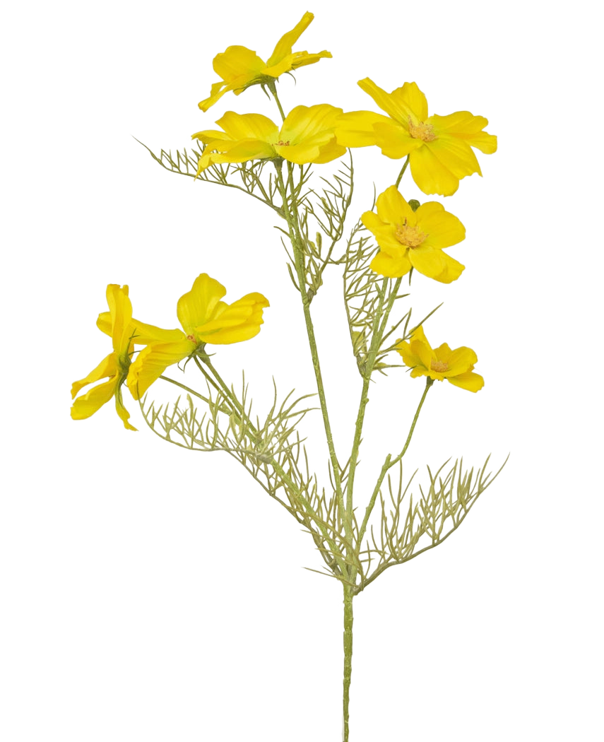 La flor artificial Cosmos de 74 cm amarilla tiene flores de color amarillo brillante y delicadas hojas verdes plumosas sobre tallos delgados, perfectas para crear un ramo sobre un fondo blanco liso.