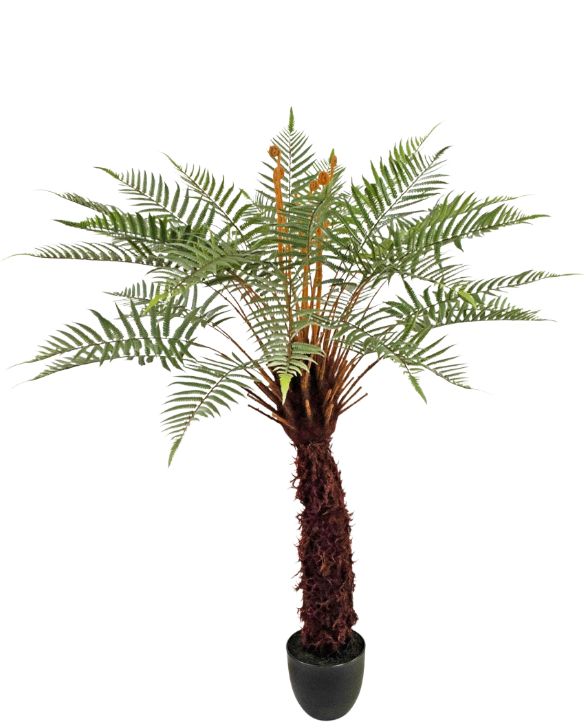 La Planta Artificial Dicksonia 127 cm es un helecho alto en maceta con un tronco estructurado de color marrón y hojas verdes largas y curvas sobre un fondo blanco.