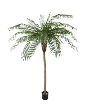 La Palmera Artificial Phoenix De Luxe 210 cm tiene hojas verdes largas y curvas y un tronco estructurado, en una pequeña maceta negra sobre un fondo blanco liso.