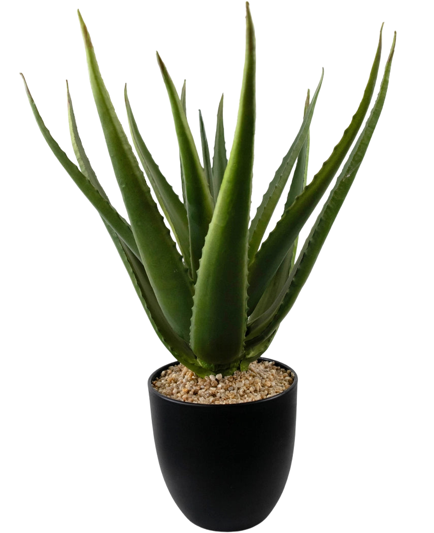Un primer plano de la planta artificial Aloe Vera de 45 cm muestra hojas gruesas, verdes y espinosas en una maceta negra llena de pequeños guijarros de color marrón claro.
