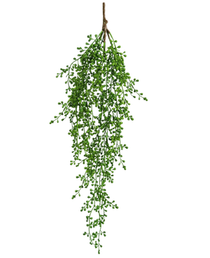 La planta colgante artificial Senecio 76 cm tiene una única rama de vegetación artificial con pequeñas hojas verdes en forma de racimos que cuelgan elegantemente hacia abajo sobre un fondo blanco liso.