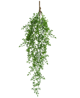La planta colgante artificial Senecio 76 cm tiene una única rama de vegetación artificial con pequeñas hojas verdes en forma de racimos que cuelgan elegantemente hacia abajo sobre un fondo blanco liso.