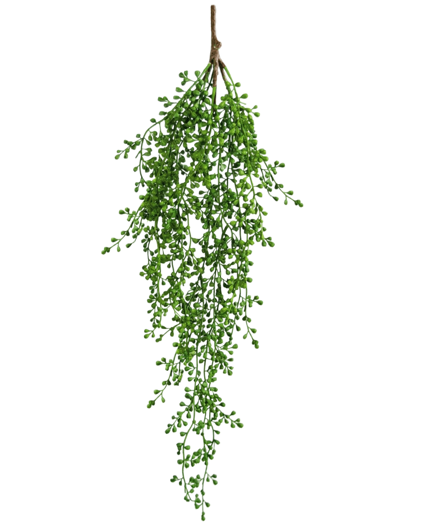 La planta colgante artificial Senecio 76 cm tiene una única rama de vegetación artificial con pequeñas hojas verdes en forma de racimos que cuelgan elegantemente hacia abajo sobre un fondo blanco liso.