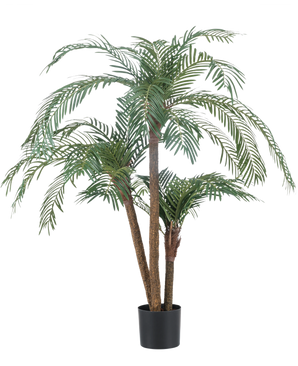 La palmera artificial Cycas Classic de 135 cm tiene varios troncos esbeltos y hojas verdes largas y arqueadas, en una sencilla maceta negra sobre un fondo blanco liso.
