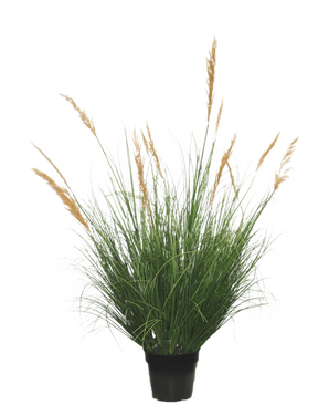 Planta de Césped Artificial Avestruz de 120 cm retardante, de largas hojas verdes y altos penachos dorados, sobre un fondo liso y blanco.