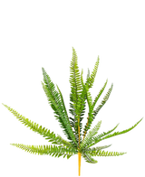 La planta de helecho artificial de 55 cm tiene hojas verdes vibrantes, largas y delgadas y puntiagudas que sobresalen hacia afuera, sobre un fondo blanco liso.
