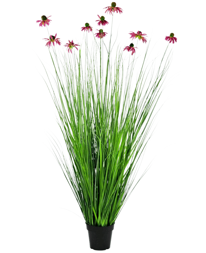 La Planta de Césped Artificial Crisantemo 150 cm ignífugo tiene hojas largas y finas de color verde similar a la hierba y tallos largos con flores de color rosa tipo margarita, presentadas en una maceta sobre un fondo liso blanco.