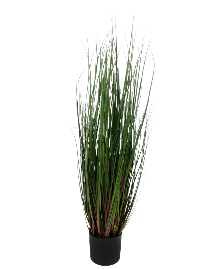La Planta de Césped Artificial Cebolla 90 cm ignífuga es una hierba ornamental en maceta con hojas largas y finas de color verde que se tiñen de rojo violeta en la base, sobre un fondo liso y blanco.