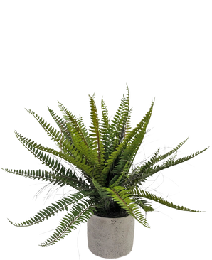 El Helecho Boston Artificial de 48 cm en maceta decorativa es una planta de helecho verde realista presentada en una maceta decorativa de hormigón, sobre un fondo blanco.