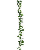 La planta colgante artificial Ivy Boston Garland 180 cm verde tiene un largo zarcillo de hiedra verde con múltiples hojas que cuelga verticalmente sobre un fondo blanco liso.