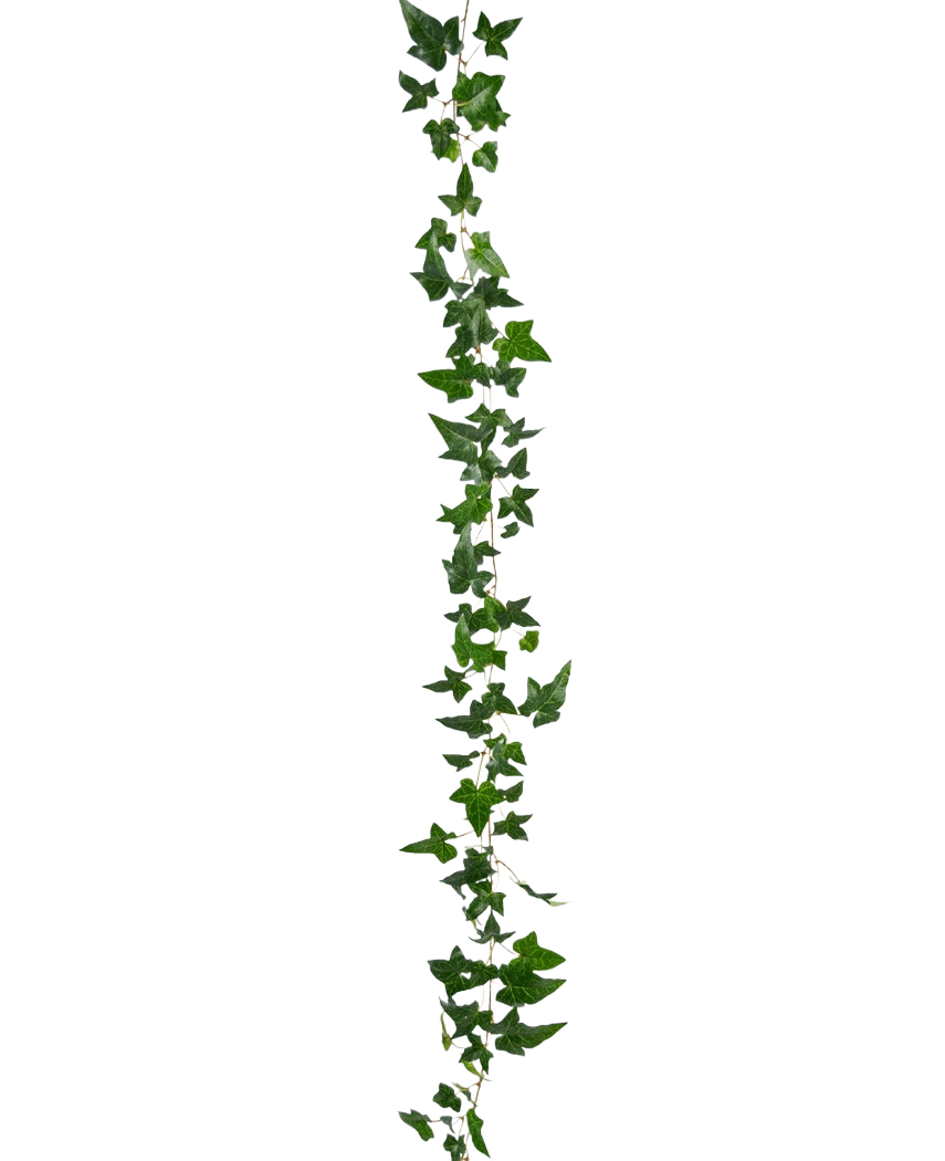 La planta colgante artificial Ivy Boston Garland 180 cm verde tiene un largo zarcillo de hiedra verde con múltiples hojas que cuelga verticalmente sobre un fondo blanco liso.