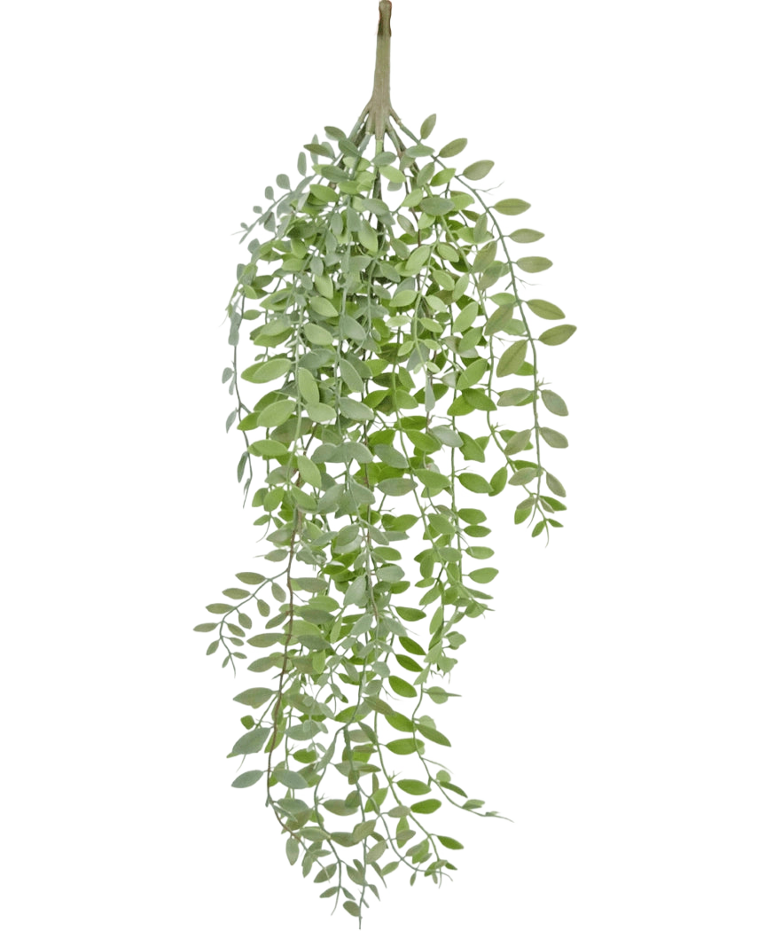 La planta colgante artificial Pumila/Eucalyptus 76 cm tiene hojas verdes estrechas y tallos delgados que caen sobre un fondo blanco liso.