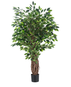 La Planta Artificial Ficus Tropical Liana 150 cm es un árbol artificial alto con un tronco trenzado y densas hojas verdes, presentado en una pequeña maceta negra sobre un fondo liso blanco.