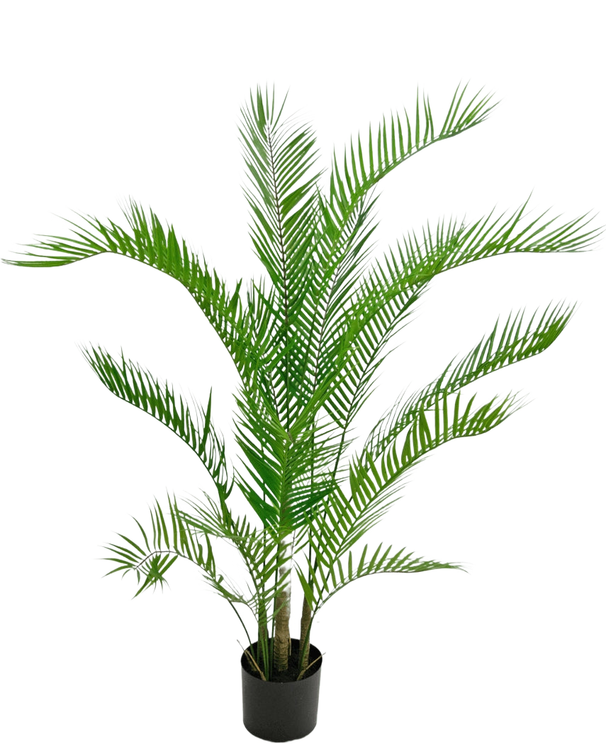 La Planta Artificial Chamaedorea 120 cm es una palmera artificial con hojas verdes largas y delgadas en una maceta redonda de color negro, sobre un fondo blanco liso.