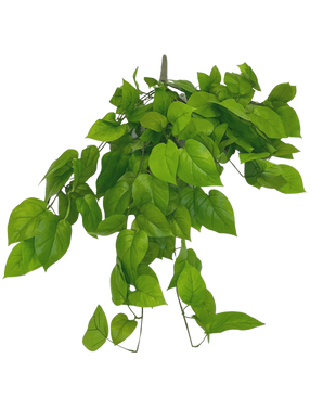 El arbusto artificial Pothos Deluxe de 90 cm tiene hojas de color verde vibrante en forma de corazón sobre tallos delgados, sobre un fondo blanco liso.
