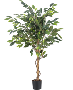 La Planta Artificial Ficus Green 120 cm tiene hojas verdes y un tronco retorcido, en una pequeña maceta negra sobre un fondo liso blanco.