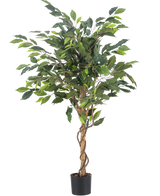 La Planta Artificial Ficus Green 120 cm tiene hojas verdes y un tallo retorcido, en una pequeña maceta negra sobre un fondo blanco liso.