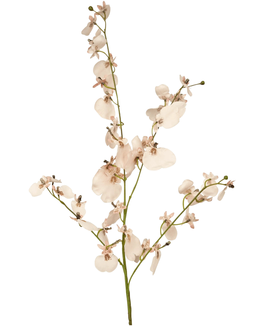 La Orquídea Rama Artificial 80 cm rosa tiene un único tallo de orquídeas artificiales de color rosa claro con múltiples flores y pequeños cogollos sobre finas ramas verdes, sobre un sencillo fondo blanco.
