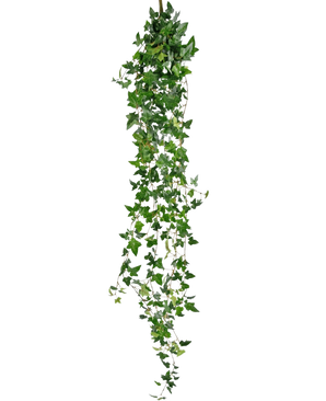 La planta colgante artificial Ivy Boston 180 cm verde tiene largos tallos verdes colgantes con hojas puntiagudas que caen sobre un fondo blanco liso.