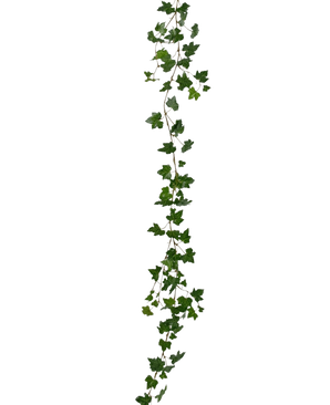 La planta colgante artificial Ivy garland deluxe 180 cm verde es una larga guirnalda de hiedra verde con hojas puntiagudas que cuelga verticalmente sobre un fondo blanco liso.