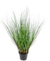 La Planta de Césped Artificial Cebolla ignífuga de 50 cm tiene hojas largas, delgadas y verdes parecidas a la hierba que crecen erguidas y se curvan hacia afuera desde el centro, presentadas en una maceta de plástico negra sobre un fondo blanco.