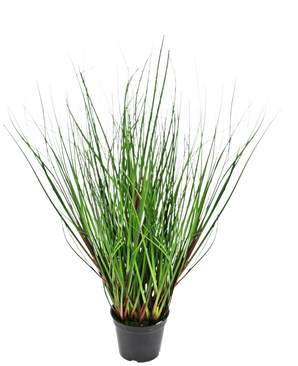 La Planta de Césped Artificial Cebolla ignífuga de 50 cm tiene hojas largas, delgadas y verdes parecidas a la hierba que crecen erguidas y se curvan hacia afuera desde el centro, presentadas en una maceta de plástico negra sobre un fondo blanco.