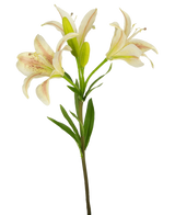 Una sola flor artificial de lirio asiático de 66 cm de color rosa con tres lirios rosados en flor y hojas verdes, aisladas sobre un fondo blanco.