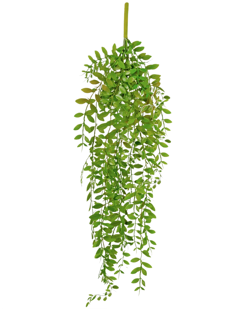 La planta colgante artificial Pumila de 89 cm tiene pequeñas hojas ovaladas de color verde sobre varios tallos colgantes sobre un fondo blanco liso.