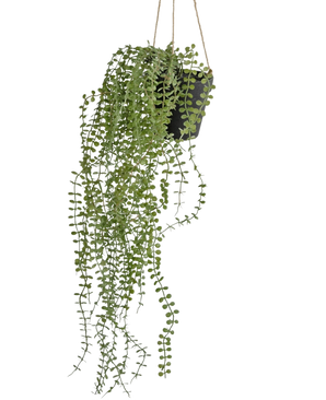 La planta colgante artificial Pumila de 81 cm en maceta tiene largos y sinuosos zarcillos verdes con pequeñas hojas redondas en una maceta colgante negra, colgada de cuerdas beige sobre un fondo blanco liso.