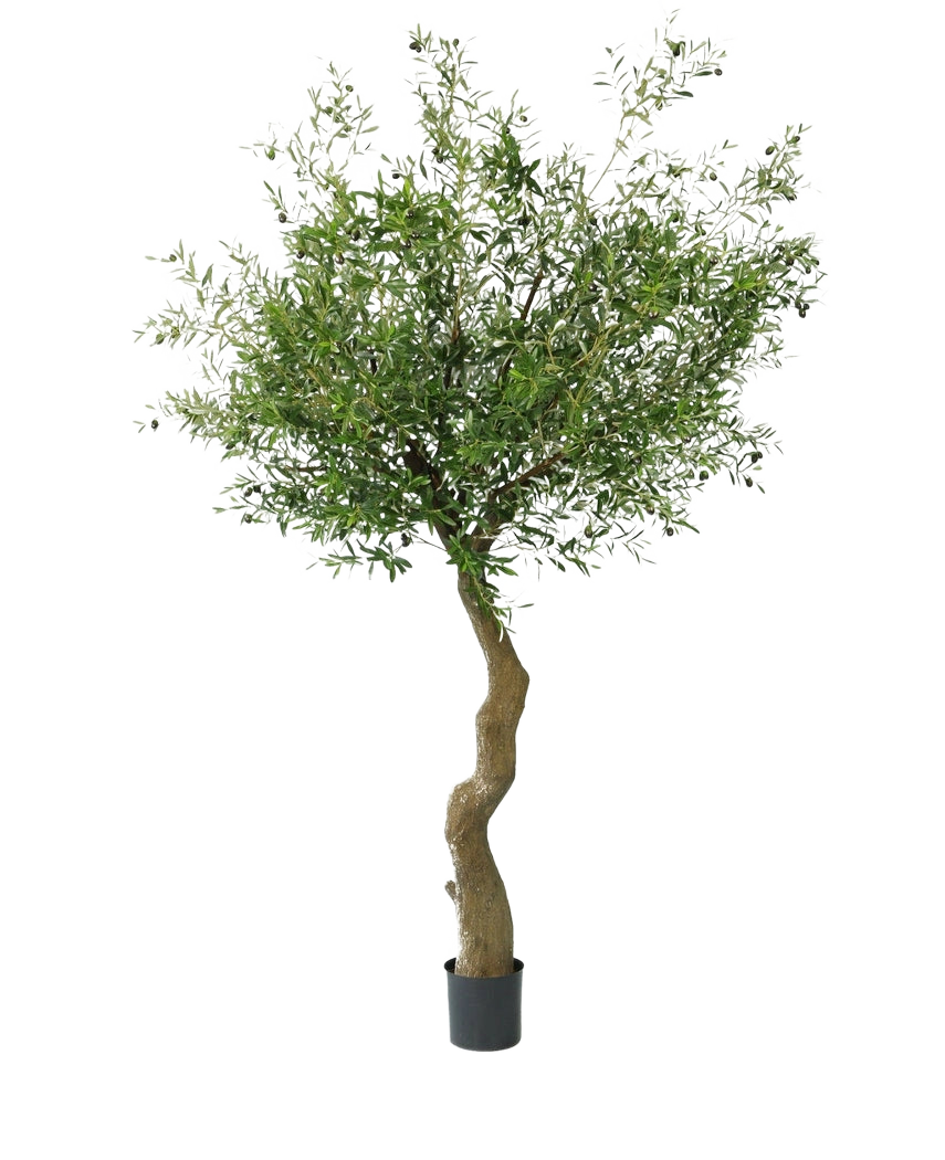 El olivo artificial de 270 cm con olivos tiene un tronco retorcido y hojas completamente verdes con olivos realistas, bellamente presentados en una maceta y representados sobre un fondo blanco.